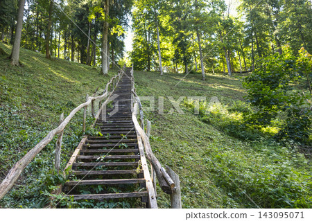 Rustic wooden staircase leading up a green forest hill Rustic wooden staircase leading up a green forest hill 143095071