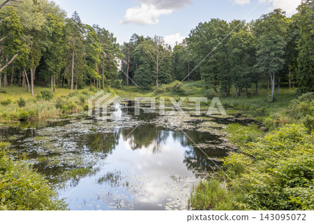 Forest pond surrounded by lush green trees and foliage Forest pond surrounded by lush green trees and foliage 143095072
