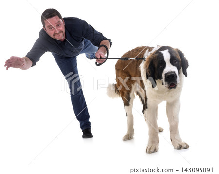 young saint bernard and owner young saint bernard and owner 143095091