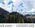 Snow Capped Mountain Range and Evergreen Forest Under Dramatic Clouds 143095168