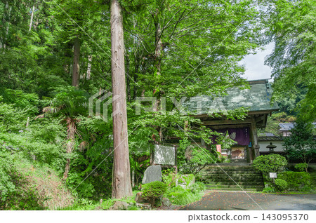 The main gate of Ryutakuzan Kentoku-ji Temple, surrounded by fresh greenery (Nakagawa Town, Tochigi Prefecture) 143095370