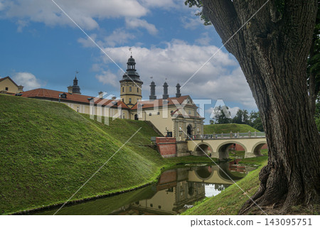 A view of Nesvizh Castle, the bridge, and the moat with water seen from behind an old tree. A view of Nesvizh Castle, the bridge, and the moat with water seen from behind an old tree. 143095751