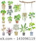 Houseplant Illustration Set - Hand-Painted Watercolor Paintings 143096119
