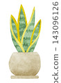Houseplant - Hand-painted watercolor illustration (Sansevieria) 143096126
