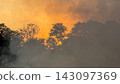 Wildfire burning forest creating smoke and orange sky 143097369