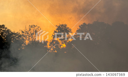 Wildfire burning forest creating smoke and orange sky 143097369