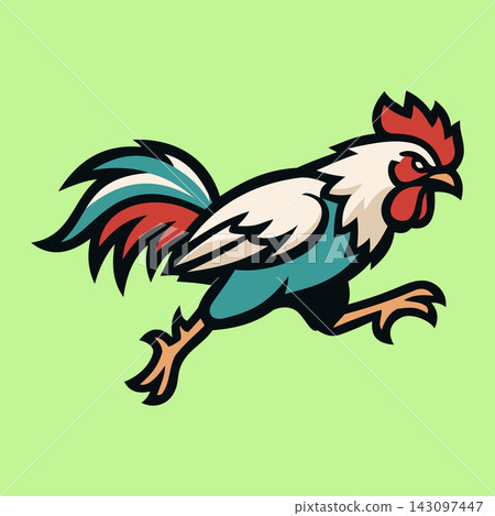 Aggressive Rooster Cock Fighting Bird Vector Illustration Aggressive Rooster Cock Fighting Bird Vector Illustration 143097447