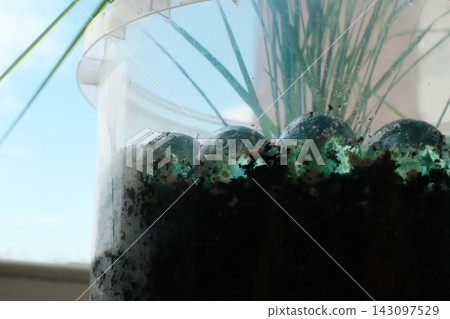 Glass marbles in a soil-filled plastic pot Glass marbles in a soil-filled plastic pot 143097529