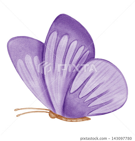 Watercolor hand drawn illustration of a purple butterfly isolated on white background. Gentle and cute insect art for nursery, baby shower and childish designs. 143097780