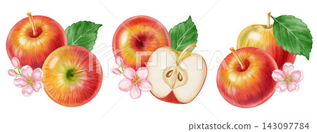 Watercolor illustration set of apple compositions with whole fruits, cut slice, leaves, flowers isolated on white background. Perfect for product logo, market posters, food packaging, textile patterns 143097784