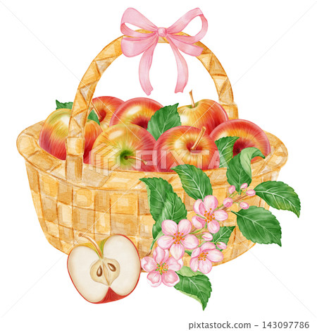 Watercolor illustration of a wicker basket filled with ripe red apples decorated with a pink ribbon bow, blossom flowers isolated on white background. Harvest art. Perfect for market posters, textile Watercolor illustration of a wicker basket filled with ripe red apples decorated with a pink ribbon bow, blossom flowers isolated on white background. Harvest art. Perfect for market posters, textile 143097786
