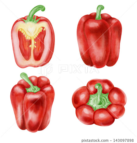 Watercolor red bell pepper set with whole, half, slice, leaf, flower, seeds. Hand drawn paprika vegetable elements isolated on white background. For kitchen textiles, packaging, harvest, agriculture Watercolor red bell pepper set with whole, half, slice, leaf, flower, seeds. Hand drawn paprika vegetable elements isolated on white background. For kitchen textiles, packaging, harvest, agriculture 143097898
