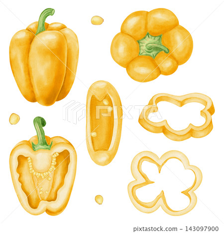 Watercolor yellow bell pepper set with whole, half, slice, leaf, flower, seeds. Hand drawn paprika vegetable elements isolated on white background. For kitchen textile, packaging, harvest, agriculture Watercolor yellow bell pepper set with whole, half, slice, leaf, flower, seeds. Hand drawn paprika vegetable elements isolated on white background. For kitchen textile, packaging, harvest, agriculture 143097900