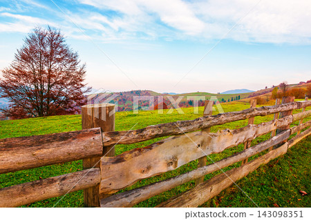 autumn landscape. fence near hillside meadow in Carpathian mountains. few trees of forest on a grassy slope in morning light autumn landscape. fence near hillside meadow in Carpathian mountains. few trees of forest on a grassy slope in morning light 143098351