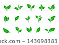 Green leaf svg bundle, Green leaf icon, Green leaf vector illustration, Green leaf clipart, Leaf svg, Leaf drawing. 143098383