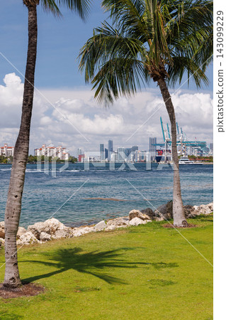 Modern skyline of Miami with towering skyscrapers, tropical vibe, and waterfront views Modern skyline of Miami with towering skyscrapers, tropical vibe, and waterfront views 143099229