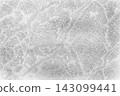 Abstract light gray grunge background with subtle organic textures 143099441