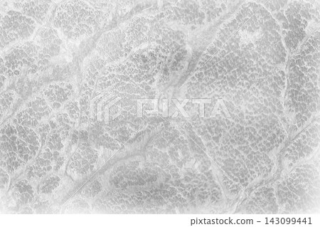 Abstract light gray grunge background with subtle organic textures Abstract light gray grunge background with subtle organic textures 143099441