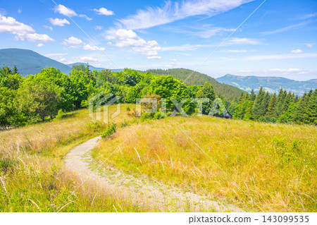 A trail winds through grass and trees in the Beskydy Mountains of Czechia. The sun shines above, lighting up the landscape. Mountains rise in the distance under a blue sky. A trail winds through grass and trees in the Beskydy Mountains of Czechia. The sun shines above, lighting up the landscape. Mountains rise in the distance under a blue sky. 143099535