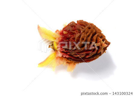 Macro view of a single peach pit on white Macro view of a single peach pit on white 143100324
