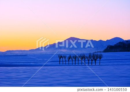 The snow-covered plains and the trees of Echigo Sanzan are bathed in the morning light, creating a winter landscape. The snow-covered plains and the trees of Echigo Sanzan are bathed in the morning light, creating a winter landscape. 143100550