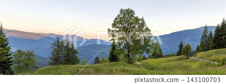 Panorama of mountains at sunset with big tree standing at front Panorama of mountains at sunset with big tree standing at front 143100703