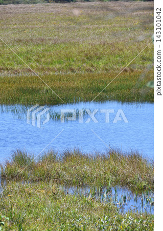 Kamagaike Pond, Kirigamine Plateau, Nagano Prefecture Kamagaike Pond, Kirigamine Plateau, Nagano Prefecture 143101042