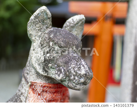 Guardian foxes and torii gates at Inari Shrine Guardian foxes and torii gates at Inari Shrine 143101379