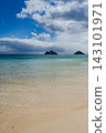 Lanikai海灘在夏威夷 143101971