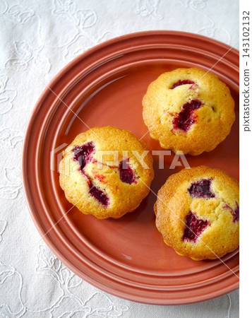Cranberry Madeleine - Pink Plate Version Cranberry Madeleine - Pink Plate Version 143102132