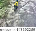 Yellow electric scooter with a black front wheel on a paved path. The path is surrounded by patches of green grass with scattered twigs and leaves 143102289