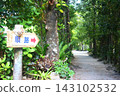 A road surrounded by green 143102532