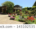 Beautiful rose blossoms under an arch in the rose garden 143102535