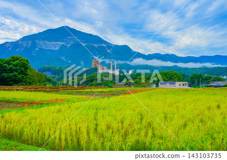 清晨,我沿著步道拍攝了秋日寺坂的梯田,背景是武高山和秩父山脈,梯田上盛開著彼岸花,晾曬著稻米,構成了一幅美麗的景象。 清晨,我沿著步道拍攝了秋日寺坂的梯田,背景是武高山和秩父山脈,梯田上盛開著彼岸花,晾曬著稻米,構成了一幅美麗的景象。 143103735