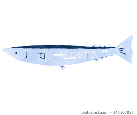 太平洋秋刀魚的插圖 143105085