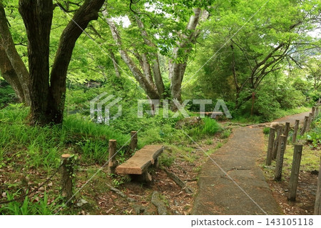 禦岳峽谷步道全長 4 公里,沿著多摩川而建。 禦岳峽谷步道全長 4 公里,沿著多摩川而建。 143105118