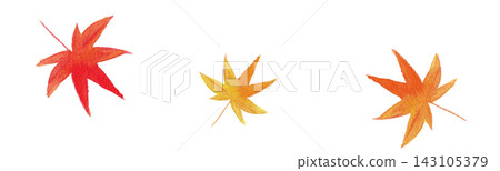 一組三幅手繪水彩秋葉插圖。 143105379