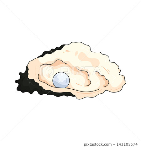 Illustration of pearl in an oyster Illustration of pearl in an oyster 143105574