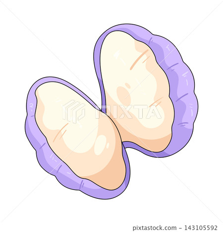 Illustration of open shell Illustration of open shell 143105592
