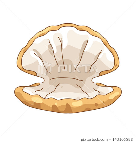 Illustration of open clam shell Illustration of open clam shell 143105598