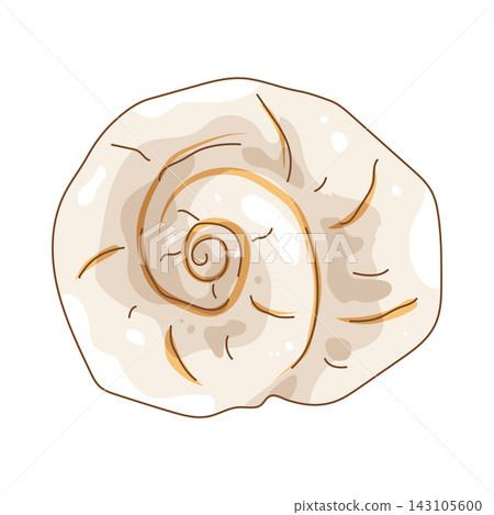 Illustration of spiral shell Illustration of spiral shell 143105600