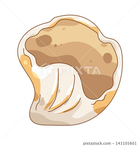 Illustration of seashell Illustration of seashell 143105601