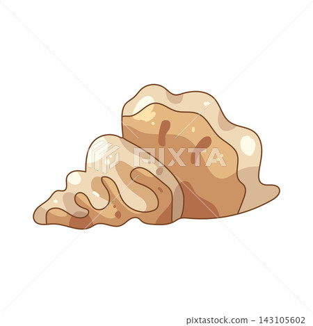 Illustration of exotic seashell 143105602