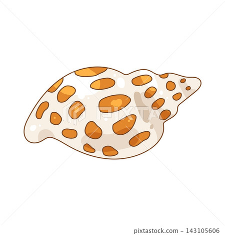 Illustration of spotted seashell Illustration of spotted seashell 143105606