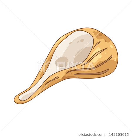 Illustration of whelk shell 143105615