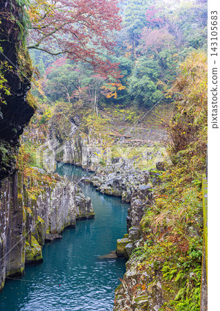 宮崎縣高千穗峽,秋色絢麗,美不勝收。 宮崎縣高千穗峽,秋色絢麗,美不勝收。 143105683