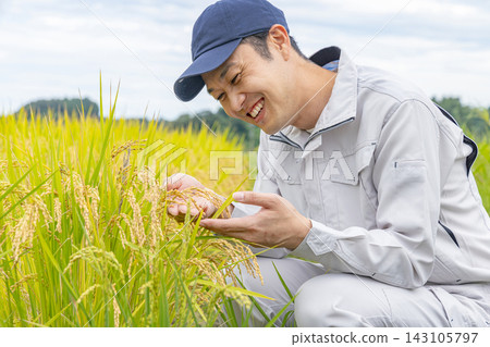 A middle-aged man checks on the growth of rice before harvest. 143105797