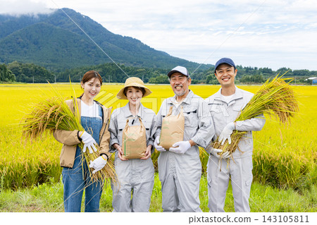 A couple from two families harvesting rice A couple from two families harvesting rice 143105811