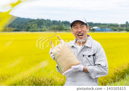 Senior men harvesting rice Senior men harvesting rice 143105815