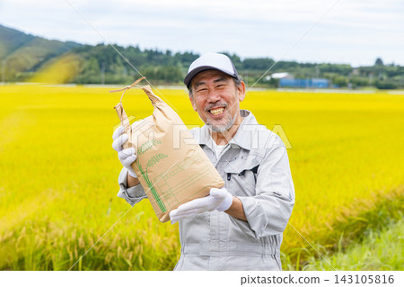 Senior men harvesting rice Senior men harvesting rice 143105816